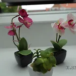 Frühstückspension Sweethome 2*